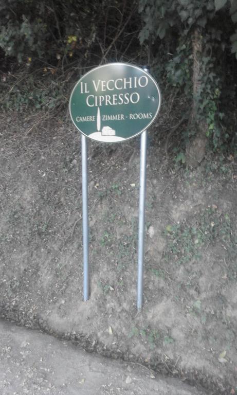 Ferienwohnung Il Vecchio Cipresso San Gimignano Exterior foto
