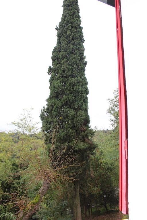 Ferienwohnung Il Vecchio Cipresso San Gimignano Exterior foto